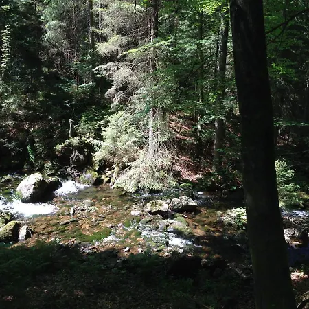 Spacious Holiday In Bavaria With Garden And Terrace *